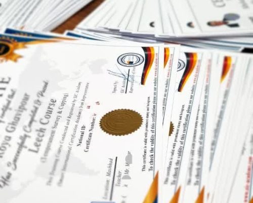 إصدار شهادات دولیة مع إمكانية الاستعلام